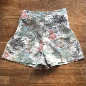 c&c california shorts